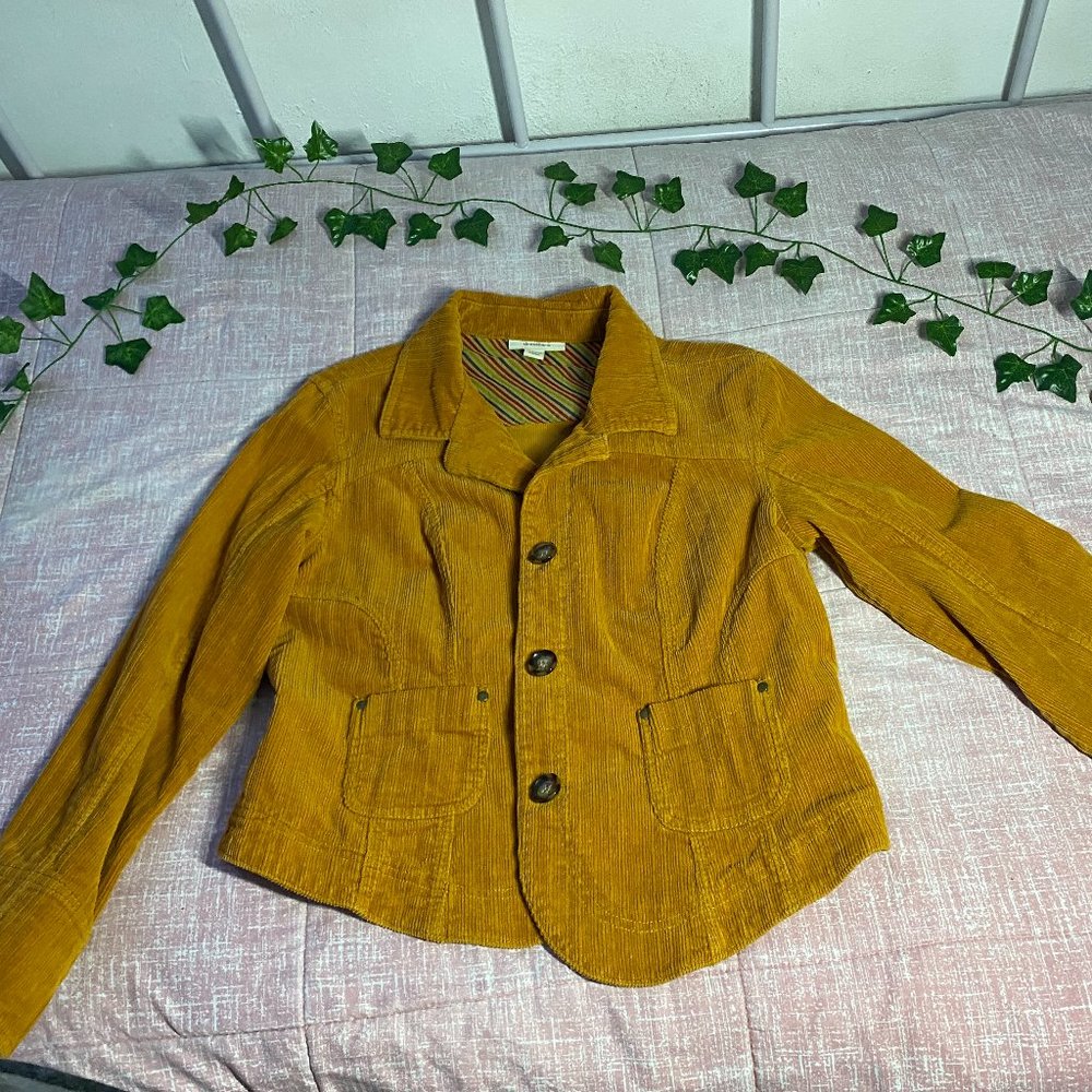 Women's dressbarn coat